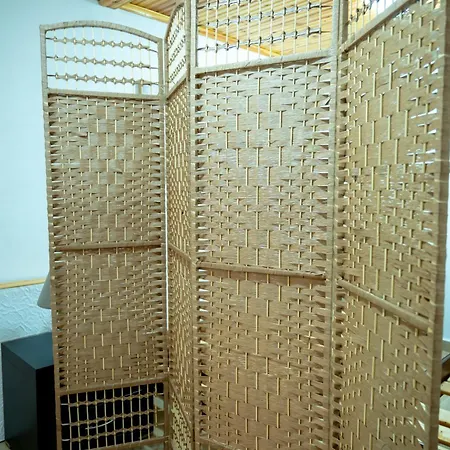 Sinojmeri Girocastrum *