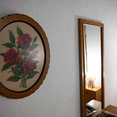 Sinojmeri Girocastrum *