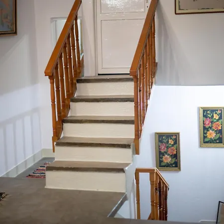 Sinojmeri Girocastrum