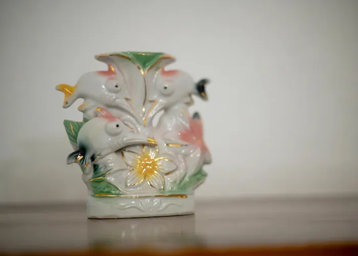 Sinojmeri Girocastrum Gjirokastër